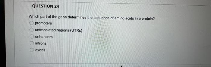 Solved Which part of the gene determines the sequence of | Chegg.com