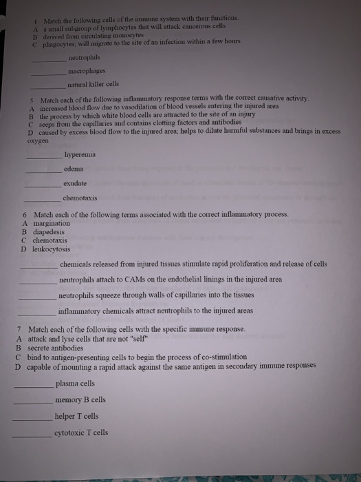 Immune system worksheet pdf picture