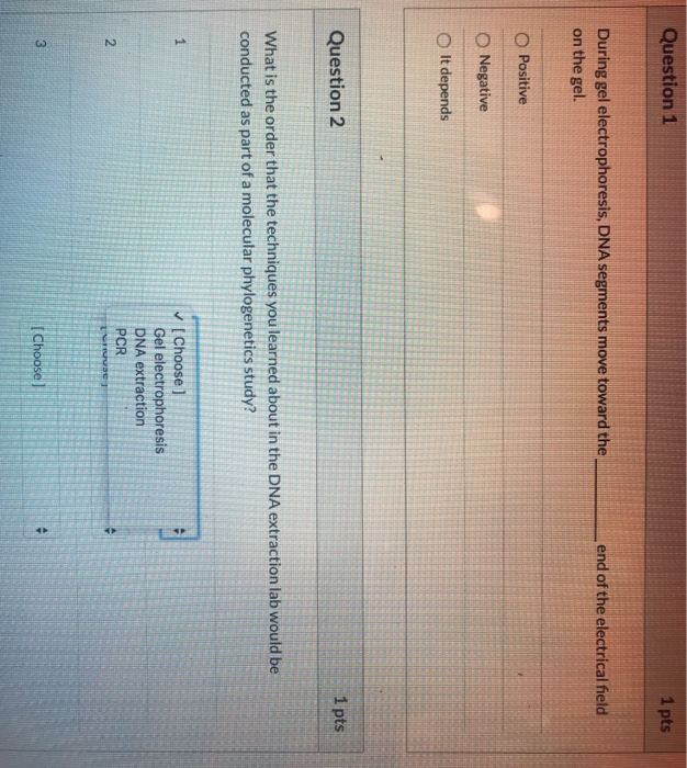 Solved Question 1 1 pts end of the electrical field During | Chegg.com