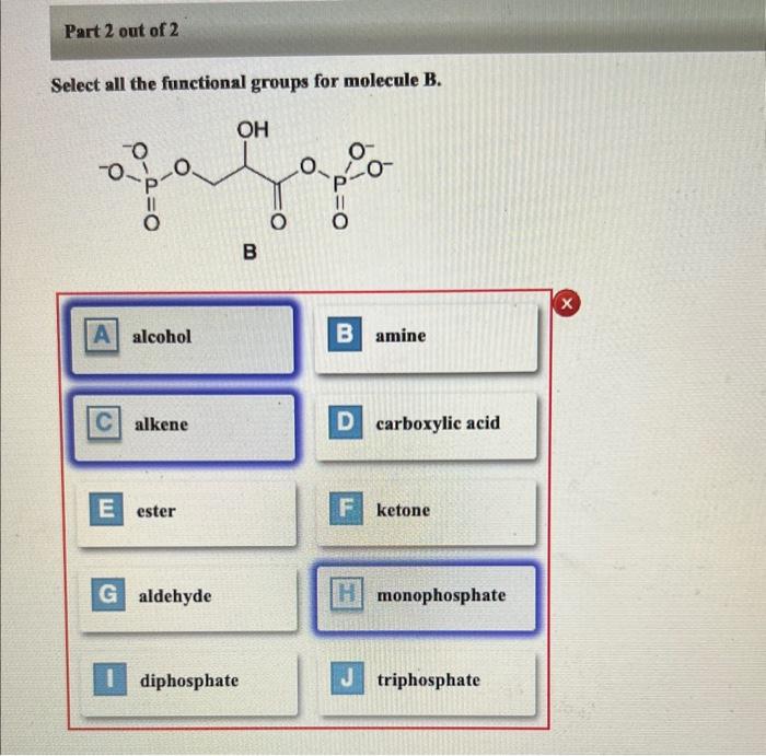 Solved Select All The Functional Groups For Molecule B. | Chegg.com