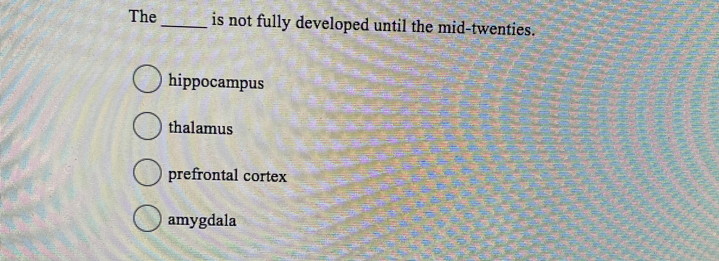 Solved The q, ﻿is not fully developed until the | Chegg.com