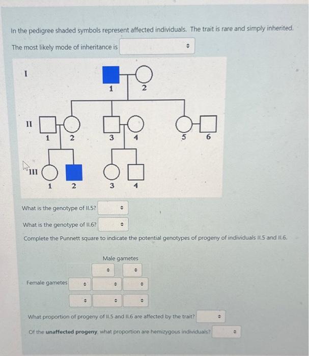 Solved In The Pedigree Shaded Symbols Represent Affected | Chegg.com