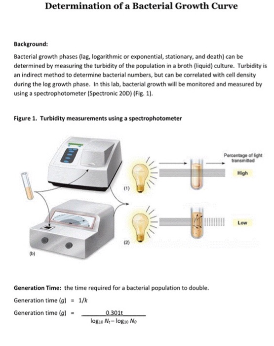 Determination of a Bacterial Growth Curve Background