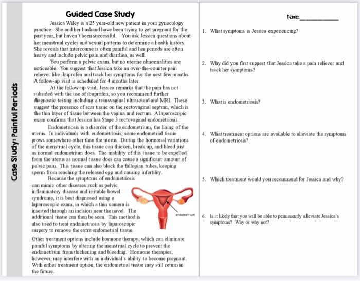 guided case study painful periods answers