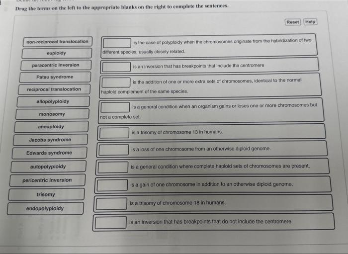 Solved Drag the terms on the left to the appropriate blanks