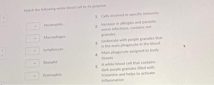 Solved Match the following white blood cell to its purpose: | Chegg.com