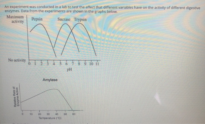 Solved An experiment was conducted in a lab to test the | Chegg.com