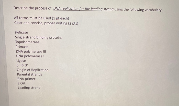 Solved Describe the process of DNA replication for the | Chegg.com