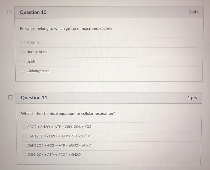Solved D Question 10 1 pts Enzymes belong to which group of