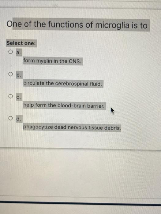 Solved Excitation-Contraction Coupling Requires Which Of | Chegg.com