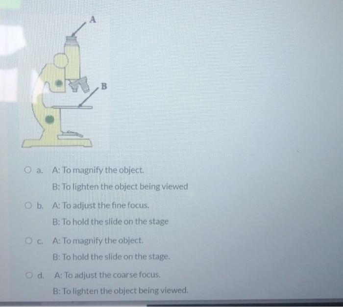 Solved А B O a. A: To magnify the object B: To lighten the | Chegg.com