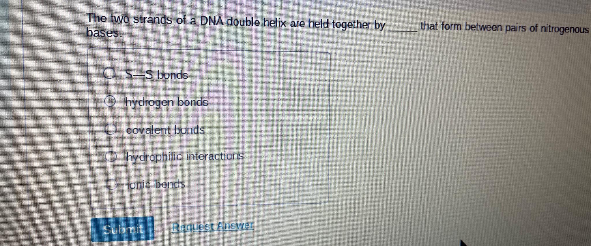 Solved The two strands of a DNA double helix are held | Chegg.com