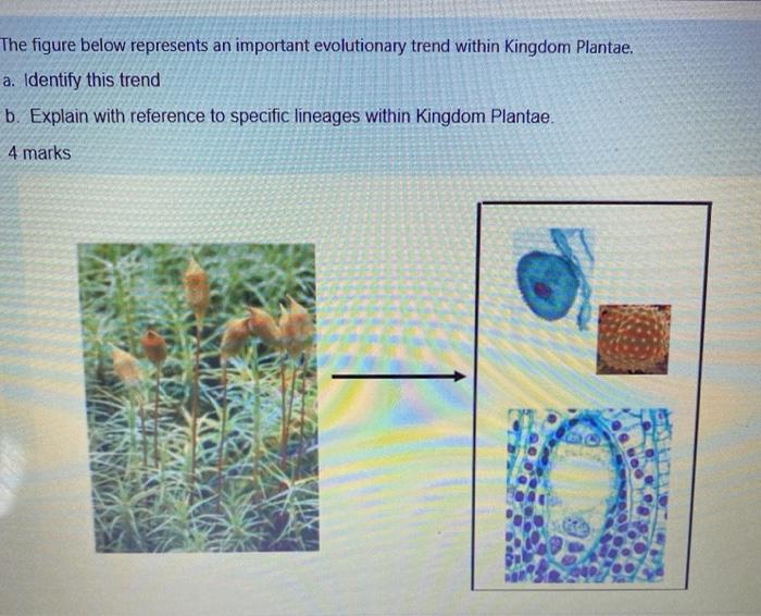 The figure below represents an important evolutionary trend within Kingdom Plantae. a. Identify this trend b. Explain with re