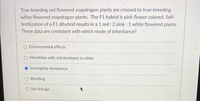 True-breeding red flowered snapdragon plants are crossed to true-breeding white flowered snapdragon plants. The F1 hybrid is 