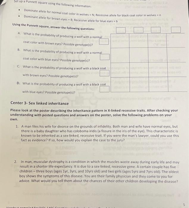 Solved set up a Punnett square using the following | Chegg.com