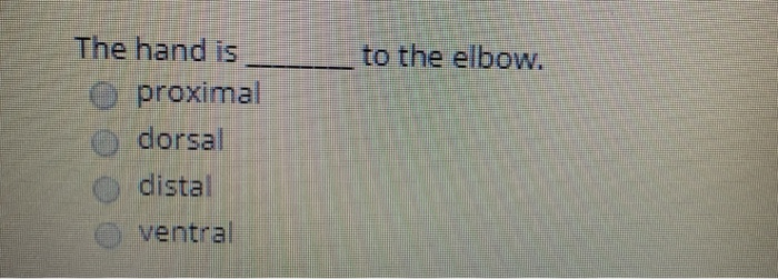 Solved to the elbow. The hand is O proximal dorsal distal | Chegg.com