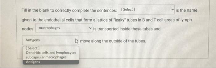 Solved Fill in the blank to correctly complete the | Chegg.com