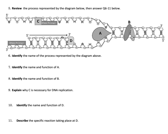 Solved Review the process represented by the diagram below, | Chegg.com