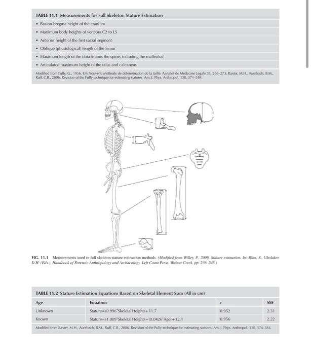EXERCISE 11.1 Stature Estimation Using the Full