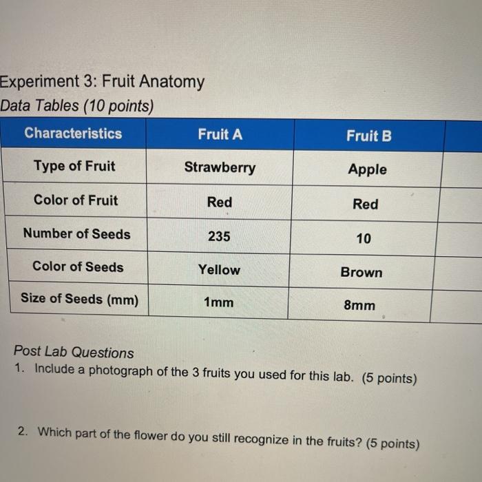Solved Experiment 3: Fruit Anatomy Data Tables (10 points) | Chegg.com