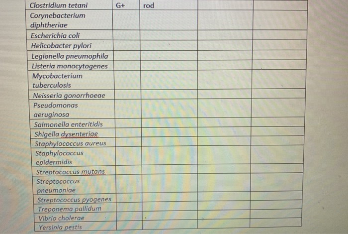 Solved G+ rod Clostridium tetani Corynebacterium diphtheriae | Chegg.com