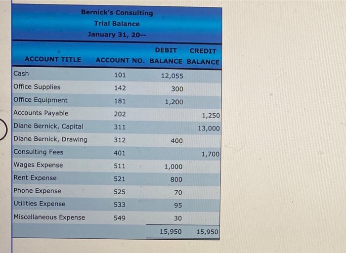 Solved Financial Statements Diane Bernick opened Bernick's