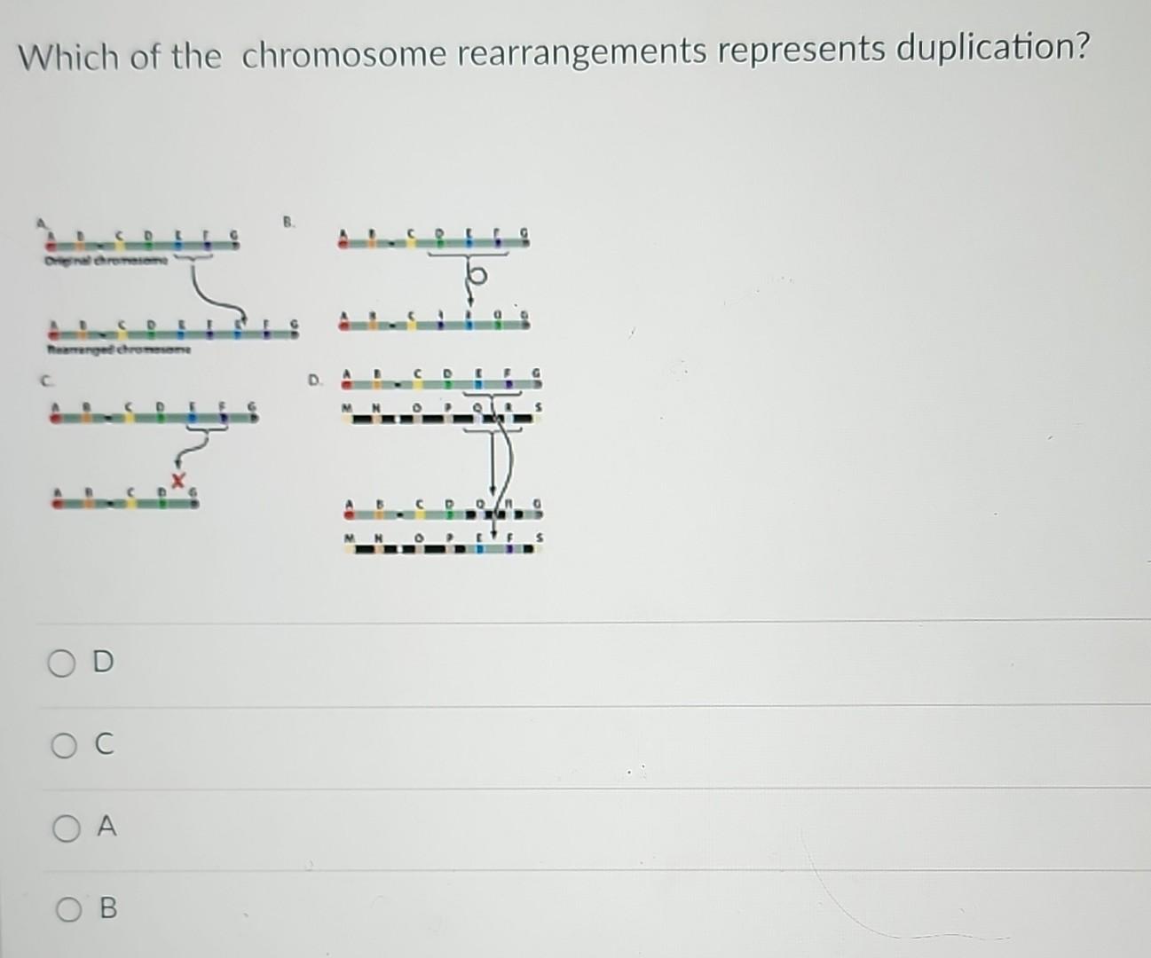 Solved Which Of The Following Chromosome Rearrangements | Chegg.com