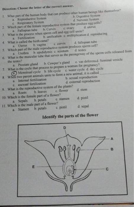 Solved A Direction: Choose The Letter Of The Correct Answer. | Chegg.com