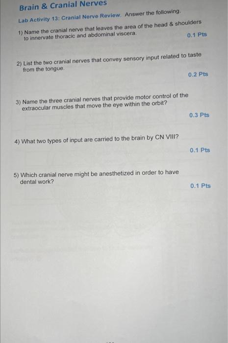 Solved 1) Name the cranial nerve that leaves the area of the | Chegg.com