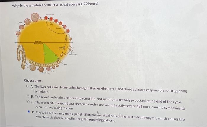 solved-malarial-pathogens-have-a-complex-life-cycle-composed-chegg