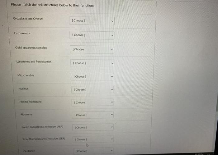 Solved Please match the cell structures below to their | Chegg.com