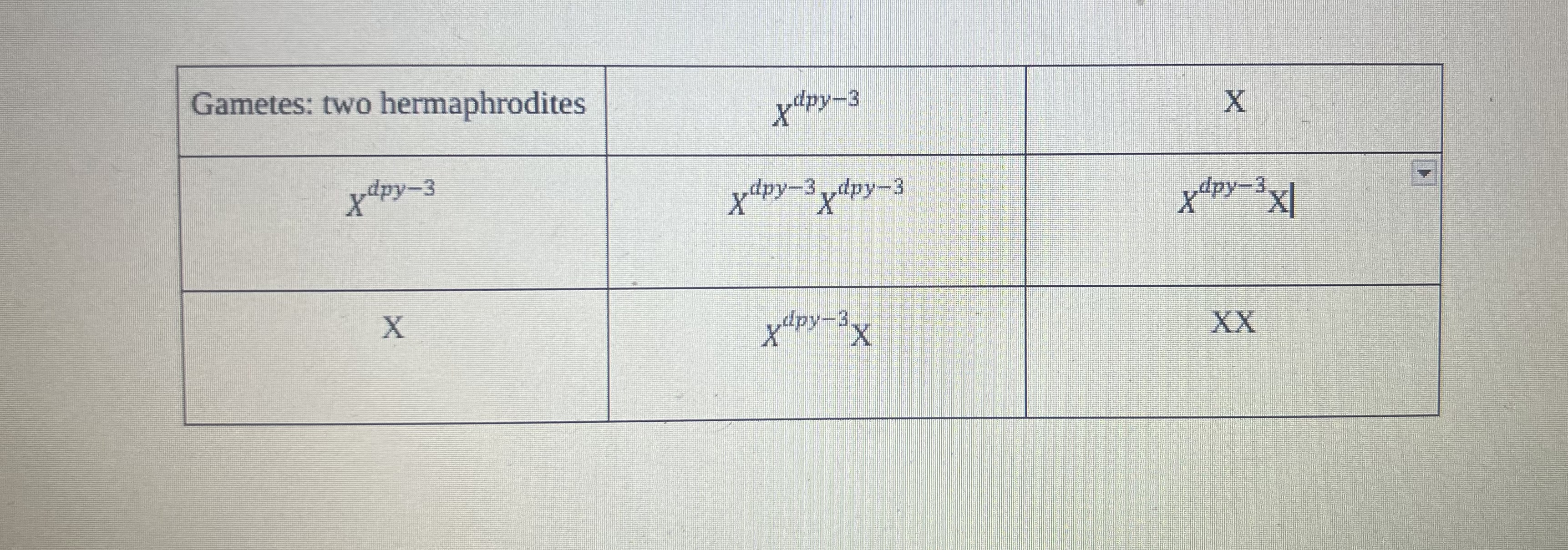 Gamete Table Solved how can two hermaphrodites produce males and how to | Chegg.com