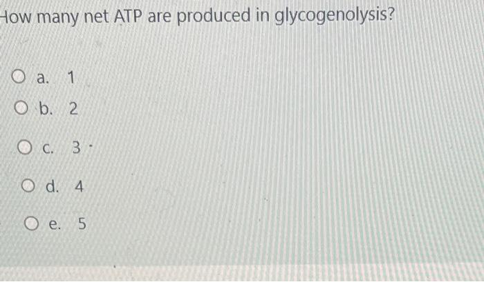 Solved How many net ATP are produced in glycogenolysis? a. 1 | Chegg.com