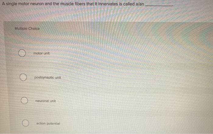 Solved A single motor neuron and the muscle fibers that it | Chegg.com