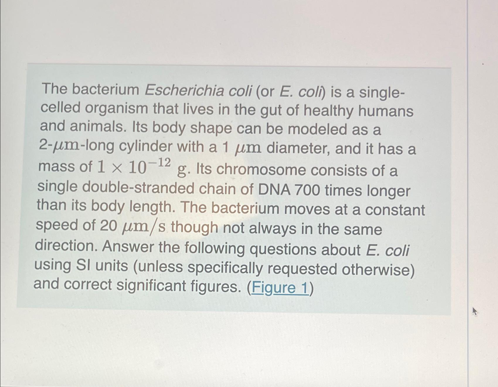 Solved The bacterium Escherichia coli (or E. ﻿coll) ﻿is a | Chegg.com