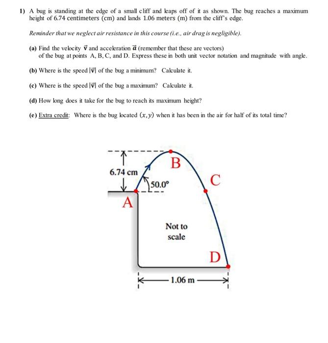 Solved 1 A Bug Is Standing At The Edge Of A Small Cliff Chegg Com