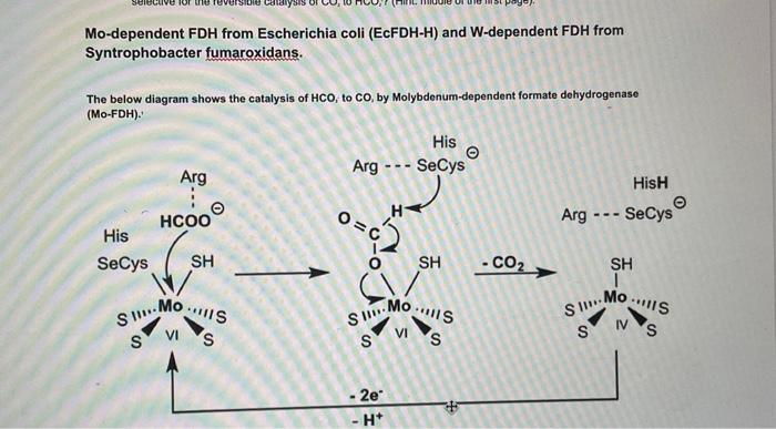 Solved Mo-dependent FDH from Escherichia coli (EcFDH-H) and | Chegg.com