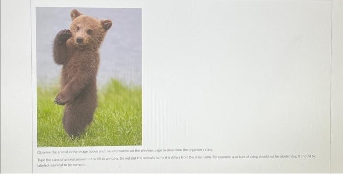 Solved Observe the animal in the image above and the | Chegg.com
