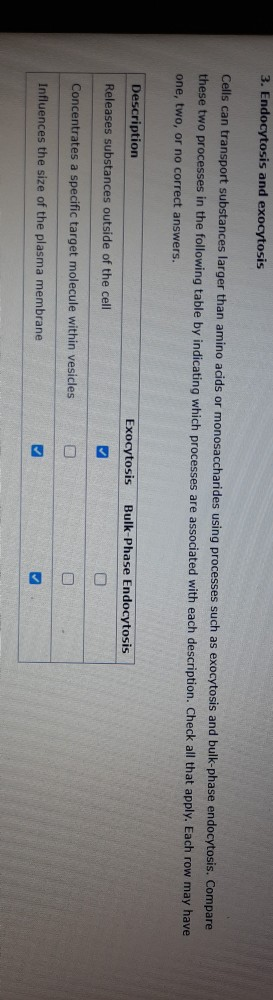 Solved 3 Endocytosis And Exocytosis Cells Can Transport Chegg Com