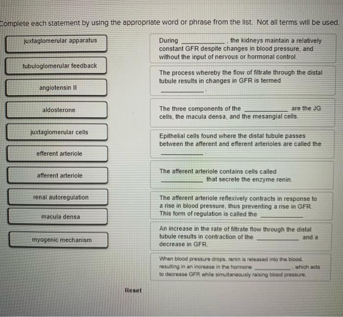 solved-complete-each-statement-by-using-the-appropriate-word-chegg