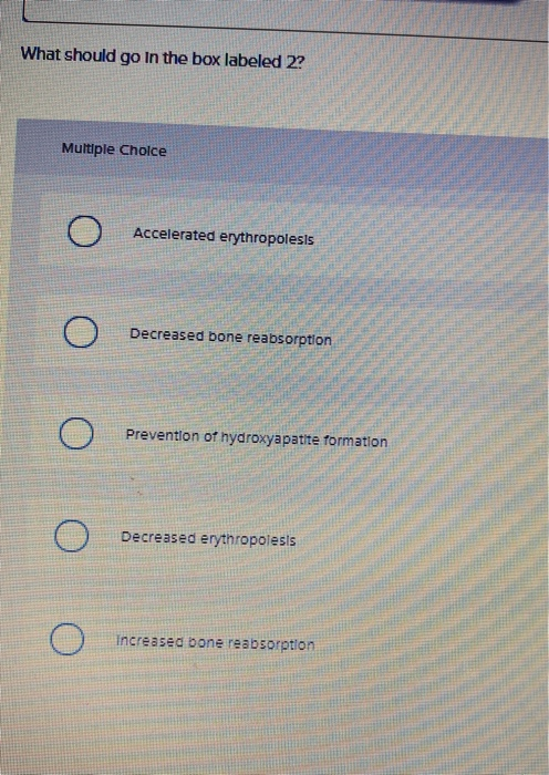 Required Information The Below Figure Shows The Co Chegg Com