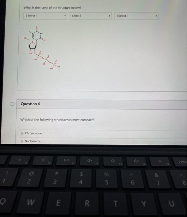 Solved What is the name of the structure below? Select | Chegg.com
