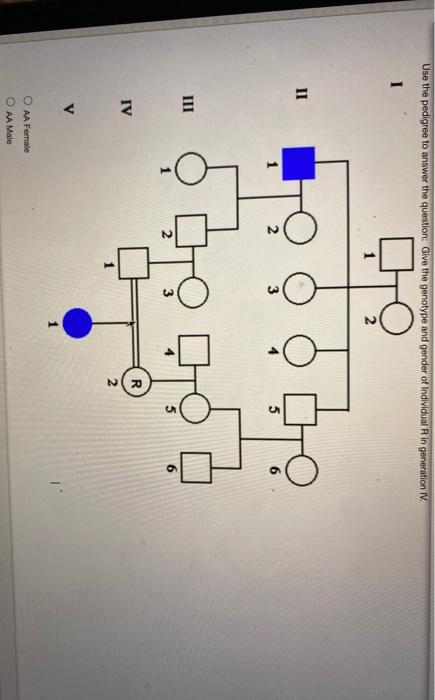 Solved Use the following pedigree to answer the question: | Chegg.com