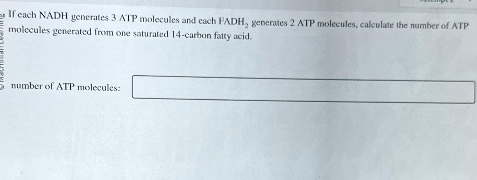 which of the following generates the largest number of atp molecules