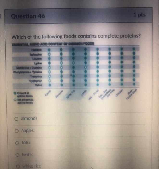 Solved Question 46 1 pts Which of the following foods | Chegg.com