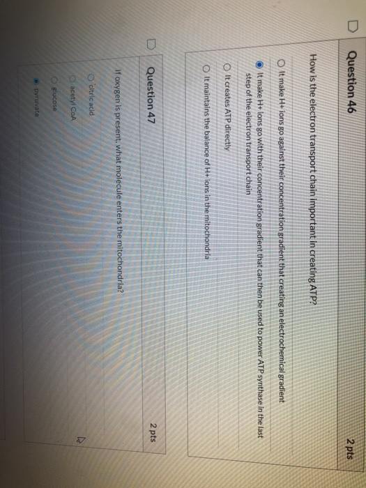 Solved Question 46 2 pts How is the electron transport chain | Chegg.com