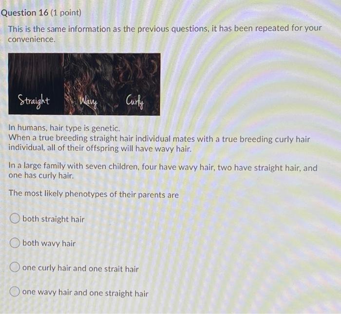 Solved Question 16 (1 point) This is the same information as | Chegg.com