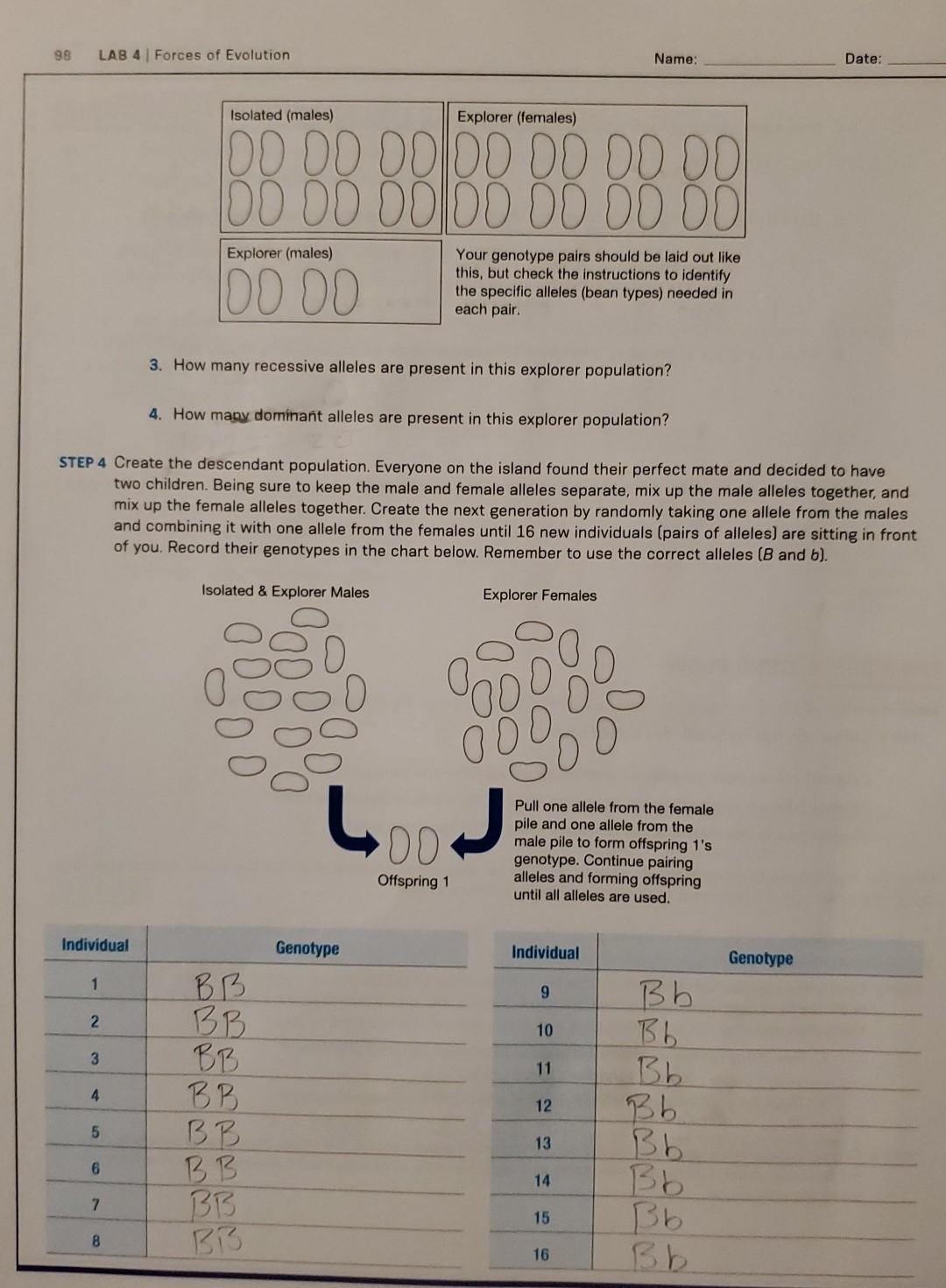 Solved EXERCISE 4 GENE FLOW Work in a small group to | Chegg.com