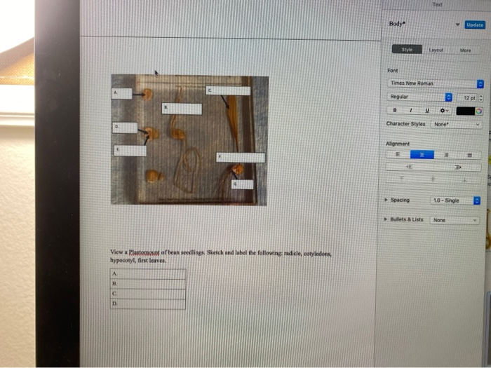 lab module 4 question - lab module 4 question set... Solved i need the best answer for the activity 4 to prepare | Chegg.com