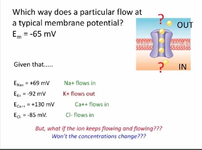 Solved which way does current flow one trick the ion will chegg